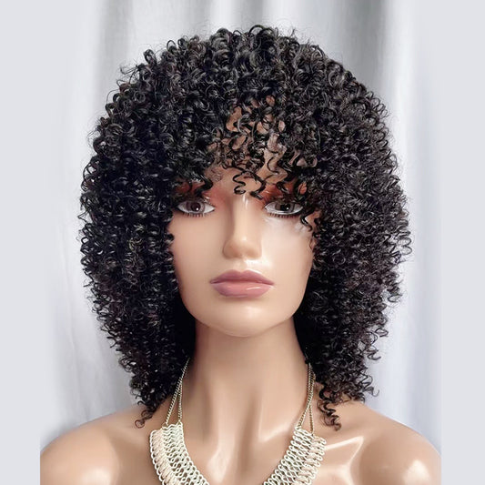 Pixie Kinky Curly Wig Human Hair Short Fringe Wig Afro Wig With Bangs 14 inch