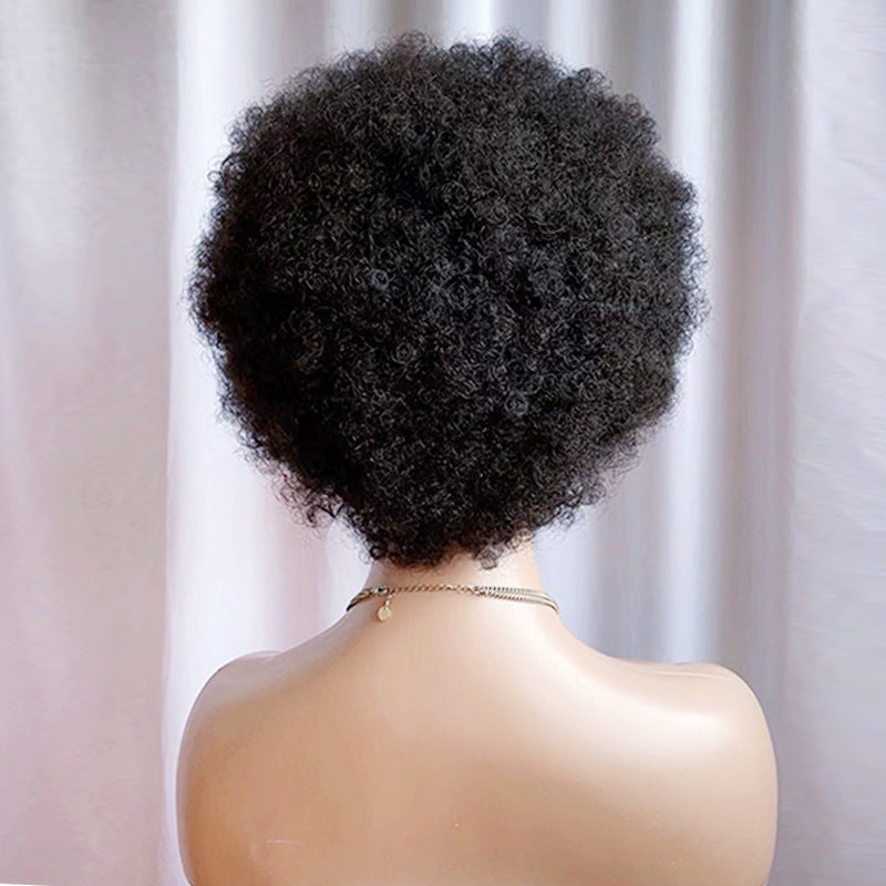 Afro Braided Wig Cornrow Box Braided Wigs Short Pixie Curly Wig 13x4 Lace Front Wig 8inch