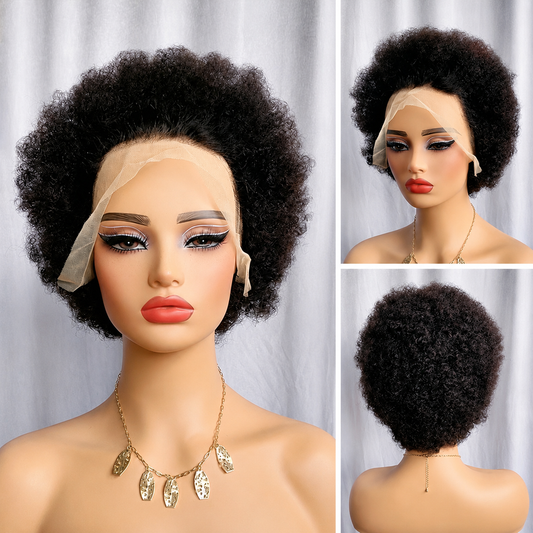 Afro Curly Wig Short Wigs 13x4