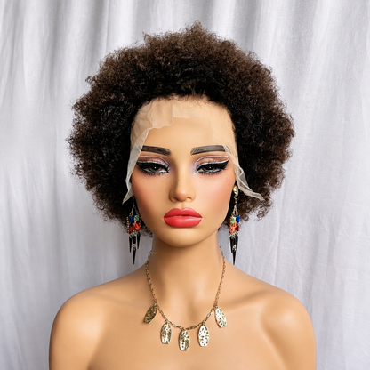 Afro Curly Wig Short Wigs 13x4