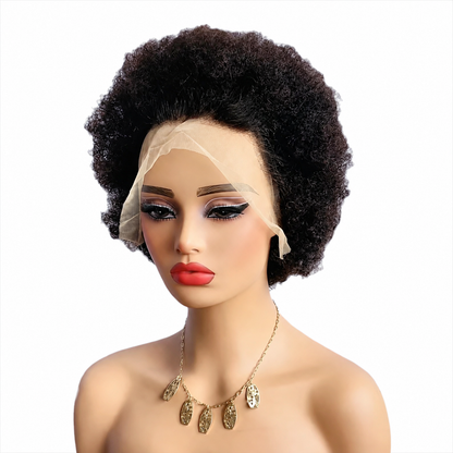 Afro Curly Wig Short Wigs 13x4