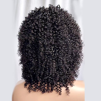 Pixie Kinky Curly Wig Human Hair Short Fringe Wig Afro Wig With Bangs 14 inch