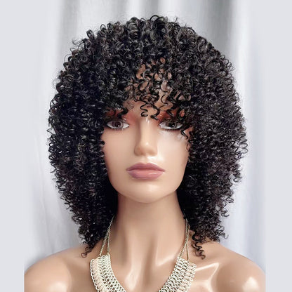 Pixie Kinky Curly Wig Human Hair Short Fringe Wig Afro Wig With Bangs 14 inch