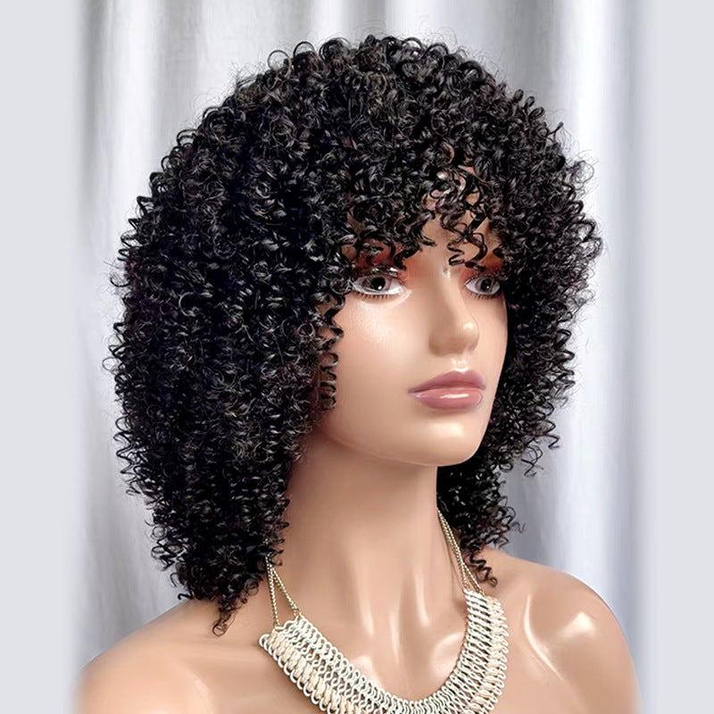 Pixie Kinky Curly Wig Human Hair Short Fringe Wig Afro Wig With Bangs 14 inch